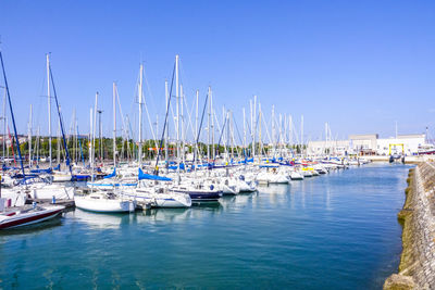 Sailboats moored in harbor