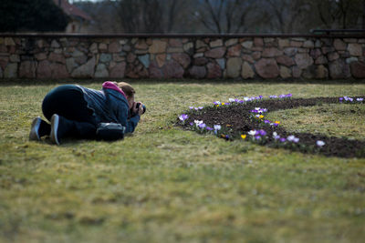 Side view of female photographer photographing crocus flowers at garden