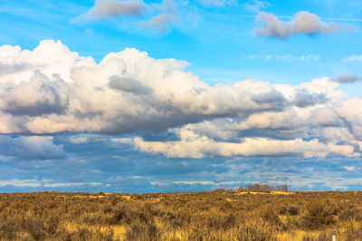 Scenic view of field against sky