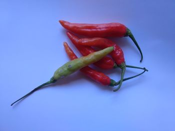 Close-up of red chili pepper against blue background
