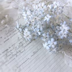 High angle view of white flowers on paper