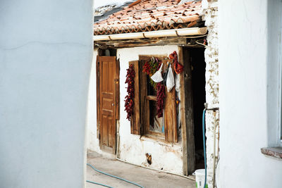 Chilies hanging on window of old house