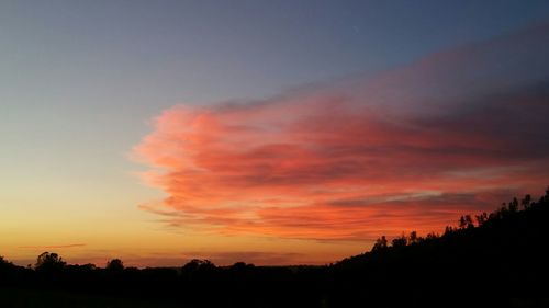 Silhouette of trees at sunset