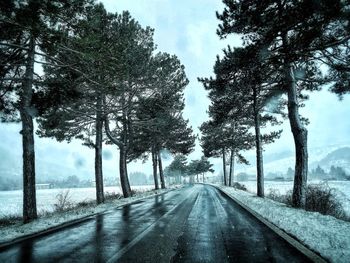 Road amidst trees against sky