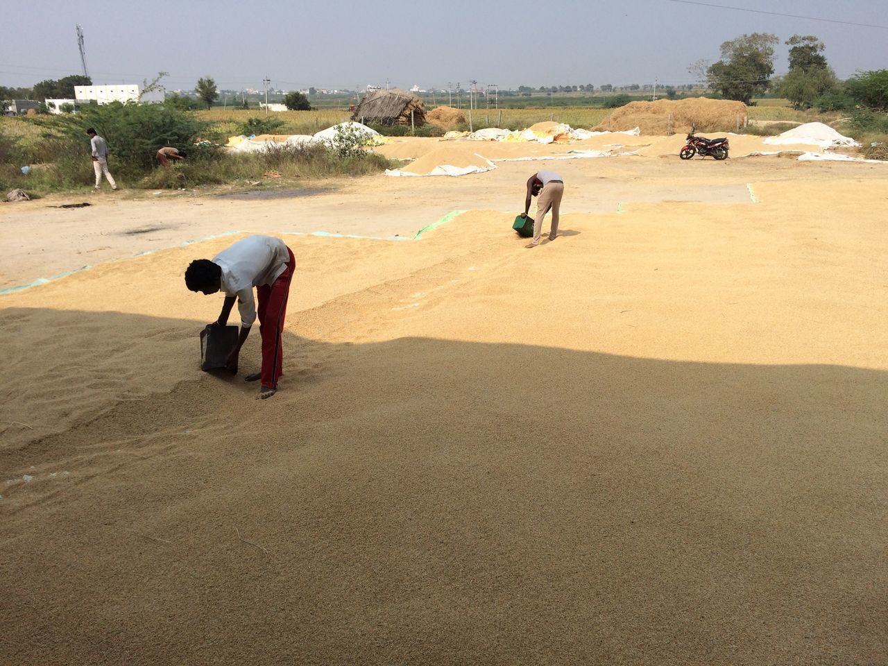 REAR VIEW OF MEN WORKING ON CONSTRUCTION SITE