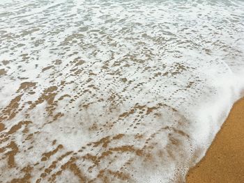 High angle view of bubbles on beach