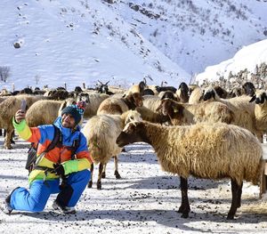 Man taking selfie while sheep