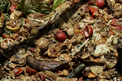 Full frame shot of fruit