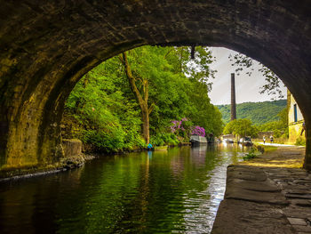 Arch bridge over river amidst trees