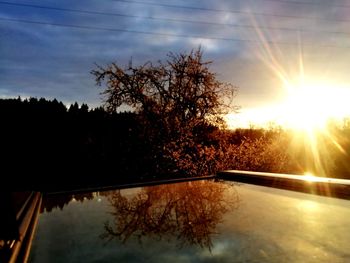 Silhouette trees by plants against sky during sunset