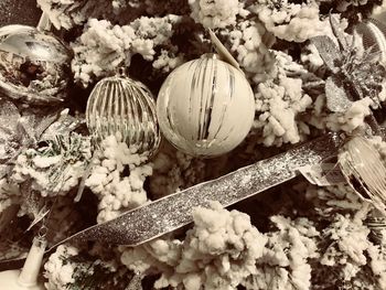 Close-up view of pumpkins