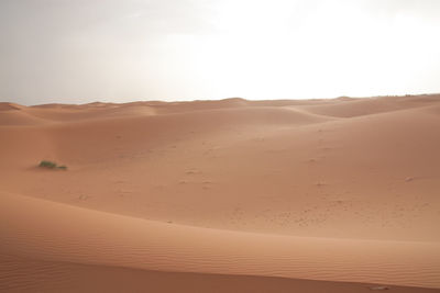 Scenic view of desert