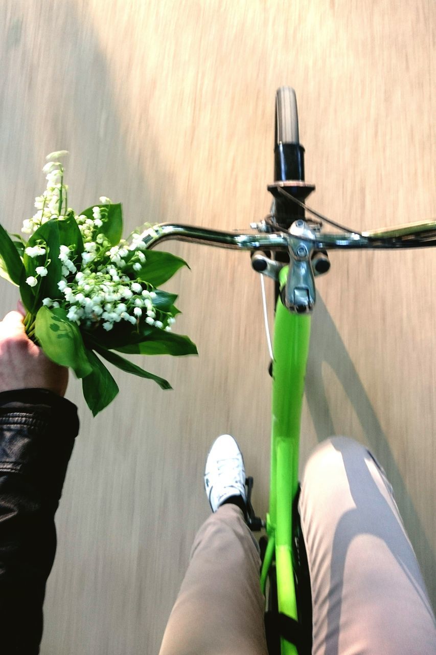 LOW SECTION OF PERSON RIDING BICYCLE ON SIDEWALK AGAINST PLANTS