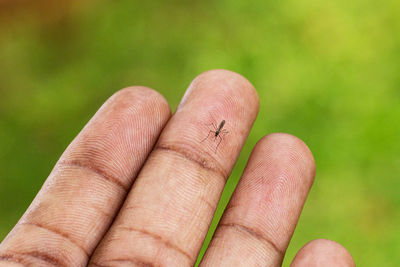 Close-up of human hand