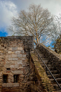 Low angle view of bare tree against sky