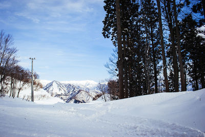 Snow covered land and trees against sky