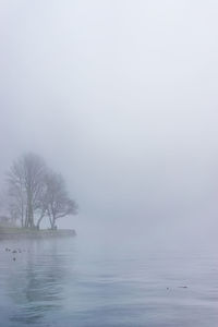 Scenic view of sea during foggy weather