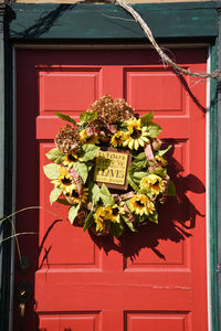 Close-up of flower pot against window