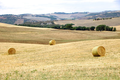 Hay bales on field against sky