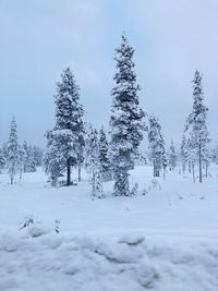 Trees on snow covered landscape against sky