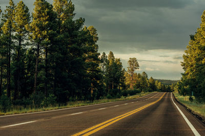 Country road by trees against sky