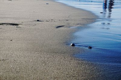 Scenic view of beach