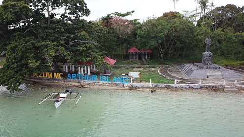 Swimming pool by trees