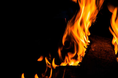 Close-up of bonfire at night