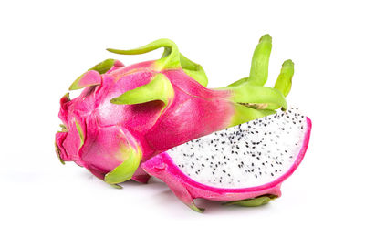 Close-up of fresh pink flower over white background