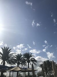 Low angle view of palm trees against sky