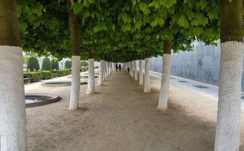 View of footpath in park