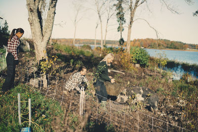 Multi-ethnic female farmers feeding pig at organic farm