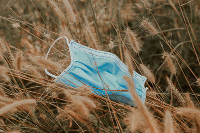 Close-up of discarded surgical mask among the dry grass