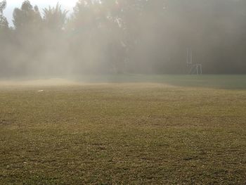 Scenic view of field during foggy weather