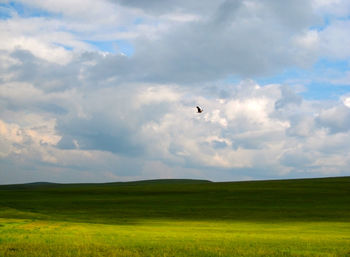 Bird flying over landscape against cloudy sky