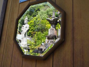 Statue amidst plants seen through window