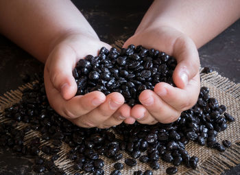 Close-up of hand holding fruit