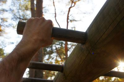 Low angle view of person hand against tree