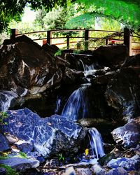 Scenic view of waterfall in forest