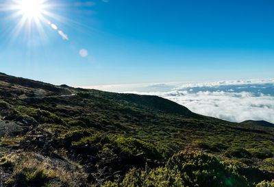 Scenic view of landscape against clear blue sky