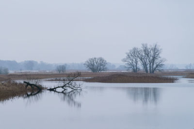 Scenic view of lake against clear sky during winter