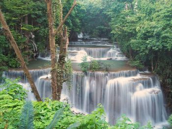 Scenic view of waterfall in forest