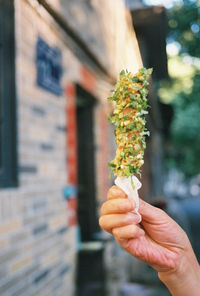 Close-up of hand holding plant