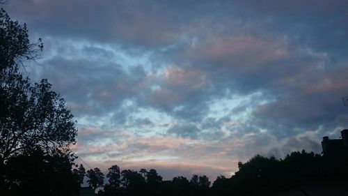 Silhouette of trees against cloudy sky