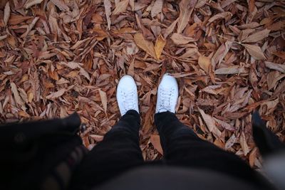 Low section of man wearing white shoes standing on dry leaves