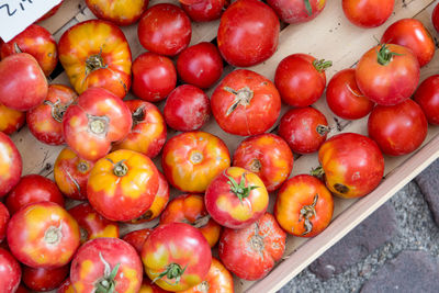 High angle view of tomatoes