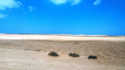 Scenic view of beach against blue sky