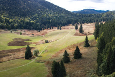 The plain of herbouilly in the high plateaus of vercors