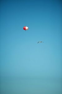 Low angle view of bird flying in sky