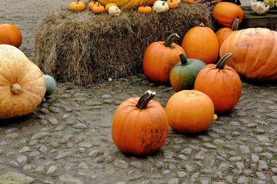 Close-up of pumpkins